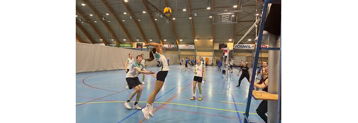 Interessekartlegging Volleyballserie